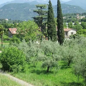 https://agriturismo-bonu-gabriele.it-lombardy.com
